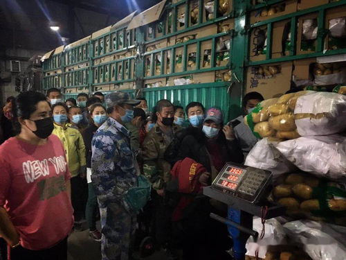 记者夜晚探访东北亚农产品批发市场 每天多供300吨蔬菜,不用抢,足够吃