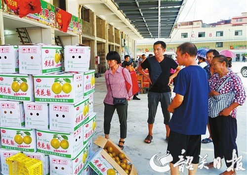 华南农产品交易中心果蔬批发市场开业运营 打造服务大湾区的优质农产品供应地